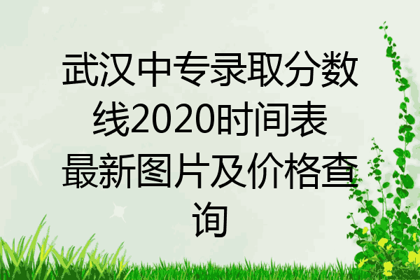 武汉中专录取分数线2020时间表最新图片及价格查询