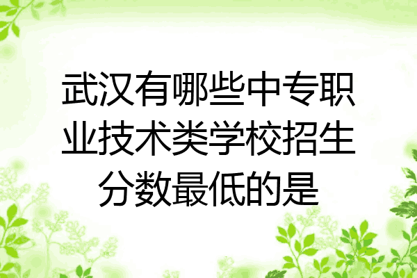 武汉有哪些中专职业技术类学校招生分数最低的是