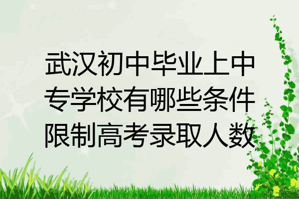 武汉初中毕业上中专学校有哪些条件限制高考录取人数