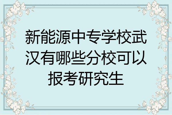 新能源中专学校武汉有哪些分校可以报考研究生