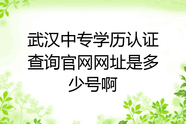 武汉中专学历认证查询官网网址是多少号啊
