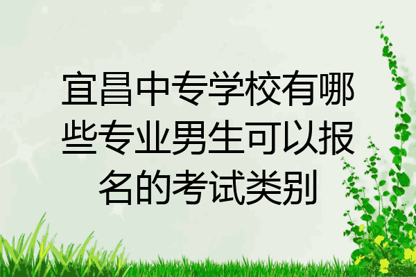 宜昌中专学校有哪些专业男生可以报名的考试类别