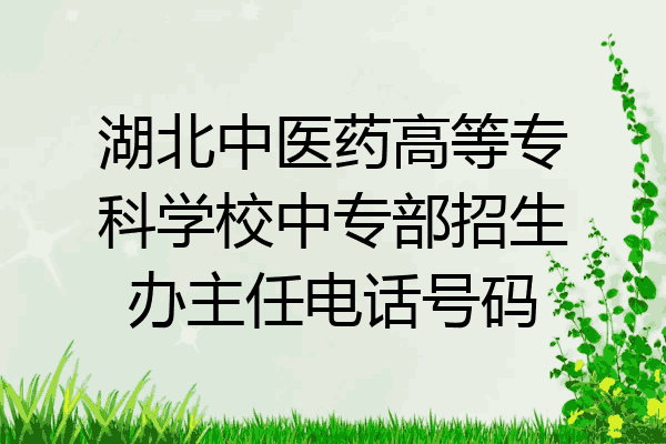 湖北中医药高等专科学校中专部招生办主任电话号码