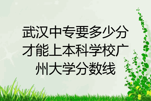 武汉中专要多少分才能上本科学校广州大学分数线