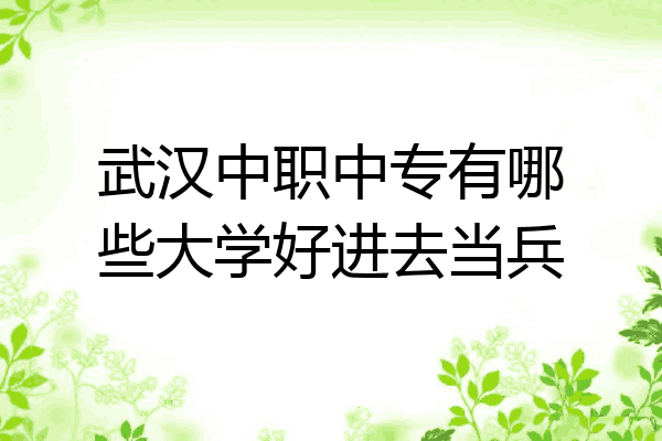 武汉中职中专有哪些大学好进去当兵