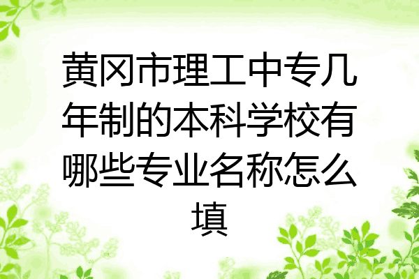 黄冈市理工中专几年制的本科学校有哪些专业名称怎么填