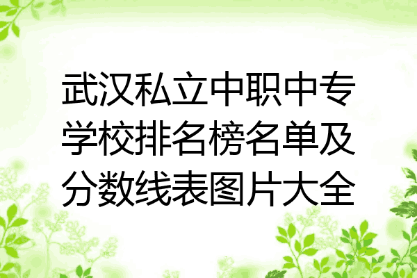武汉私立中职中专学校排名榜名单及分数线表图片大全