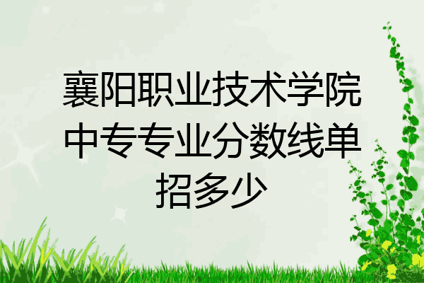 襄阳职业技术学院中专专业分数线单招多少