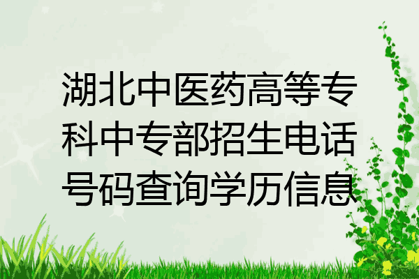 湖北中医药高等专科中专部招生电话号码查询学历信息