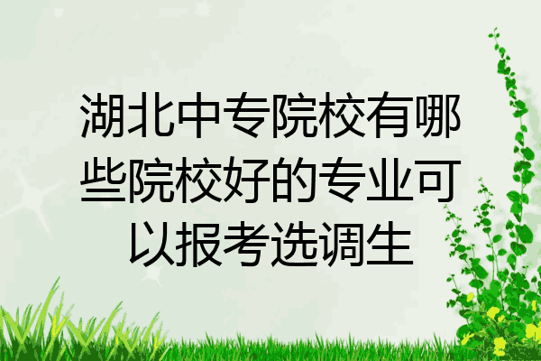 湖北中专院校有哪些院校好的专业可以报考选调生