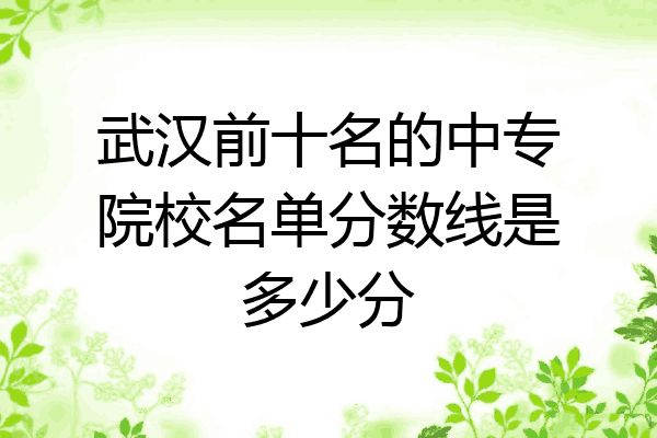 武汉前十名的中专院校名单分数线是多少分