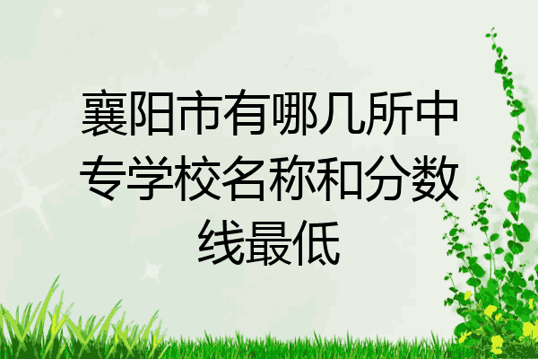 襄阳市有哪几所中专学校名称和分数线最低