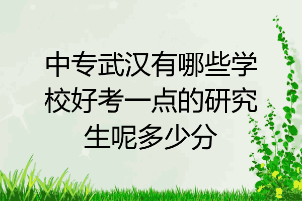 中专武汉有哪些学校好考一点的研究生呢多少分