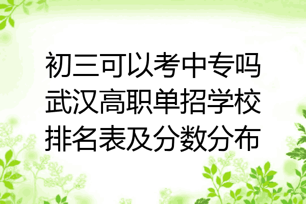 初三可以考中专吗武汉高职单招学校排名表及分数分布