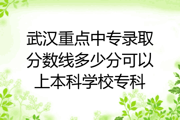 武汉重点中专录取分数线多少分可以上本科学校专科