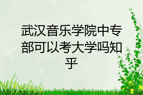 武汉音乐学院中专部可以考大学吗知乎