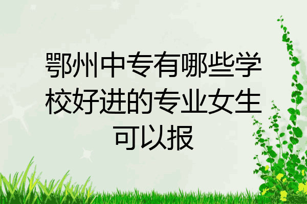 鄂州中专有哪些学校好进的专业女生可以报