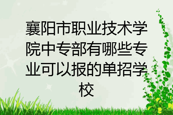 襄阳市职业技术学院中专部有哪些专业可以报的单招学校