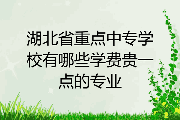 湖北省重点中专学校有哪些学费贵一点的专业