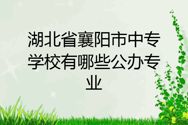 湖北省襄阳市中专学校有哪些公办专业