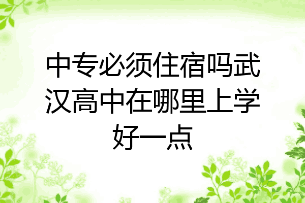 中专必须住宿吗武汉高中在哪里上学好一点
