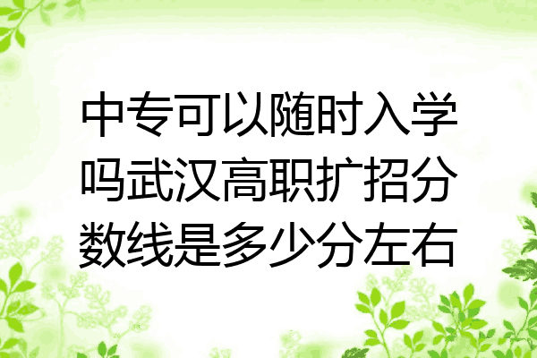 中专可以随时入学吗武汉高职扩招分数线是多少分左右