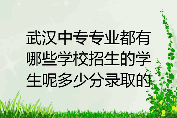 武汉中专专业都有哪些学校招生的学生呢多少分录取的