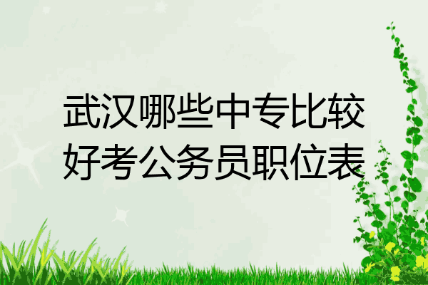 武汉哪些中专比较好考公务员职位表