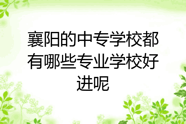襄阳的中专学校都有哪些专业学校好进呢