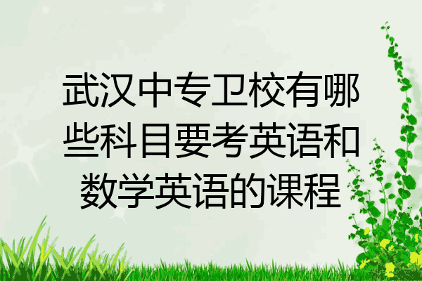 武汉中专卫校有哪些科目要考英语和数学英语的课程