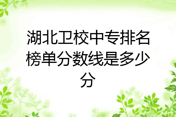湖北卫校中专排名榜单分数线是多少分