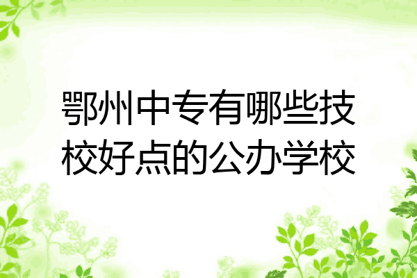 鄂州中专有哪些技校好点的公办学校