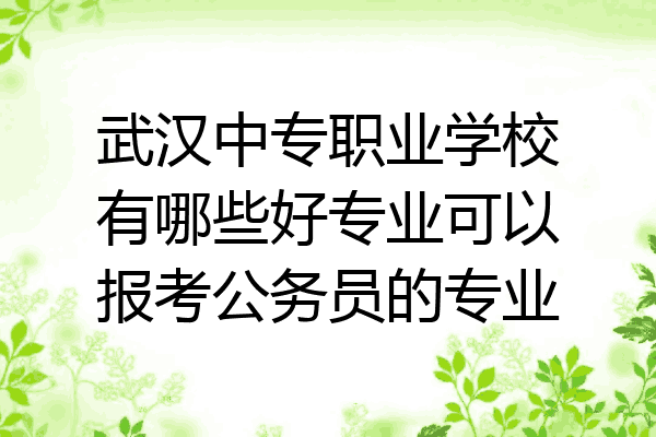 武汉中专职业学校有哪些好专业可以报考公务员的专业