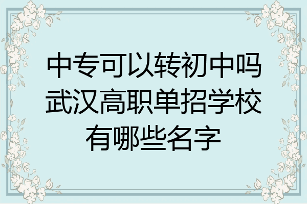 中专可以转初中吗武汉高职单招学校有哪些名字