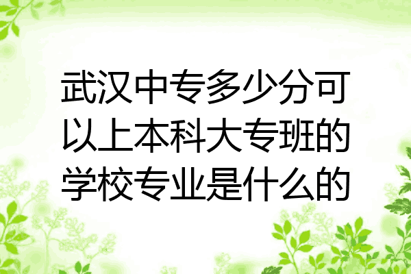 武汉中专多少分可以上本科大专班的学校专业是什么的