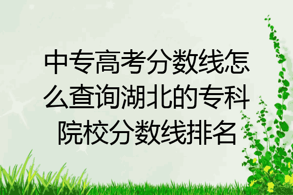 中专高考分数线怎么查询湖北的专科院校分数线排名