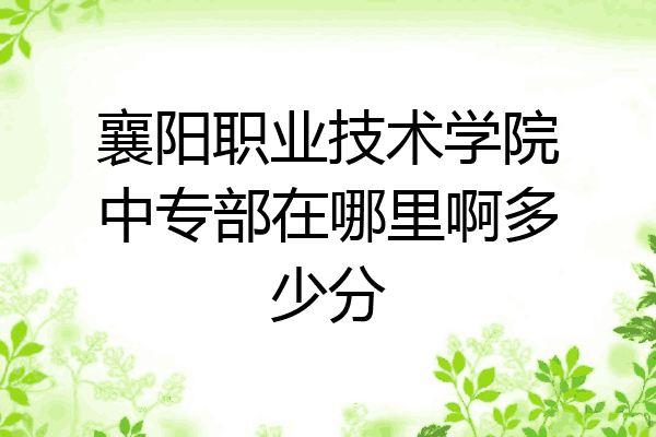 襄阳职业技术学院中专部在哪里啊多少分