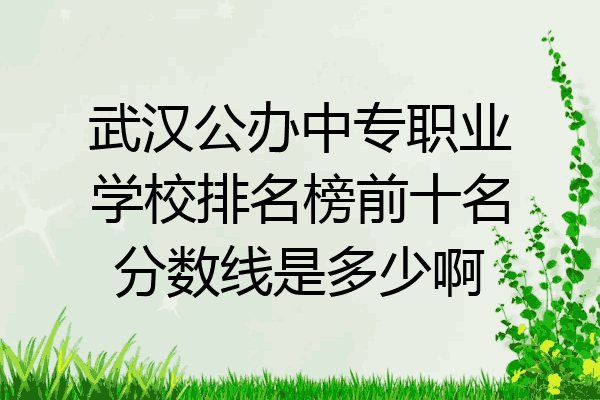 武汉公办中专职业学校排名榜前十名分数线是多少啊