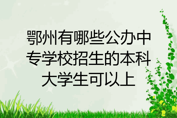 鄂州有哪些公办中专学校招生的本科大学生可以上