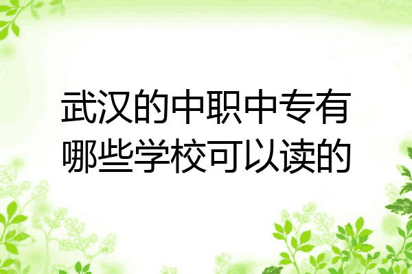 武汉的中职中专有哪些学校可以读的
