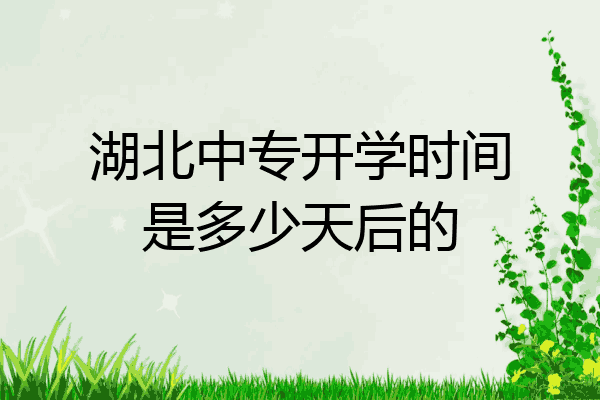 湖北中专开学时间是多少天后的