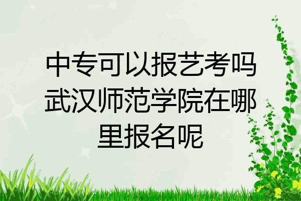 中专可以报艺考吗武汉师范学院在哪里报名呢