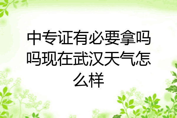 中专证有必要拿吗吗现在武汉天气怎么样