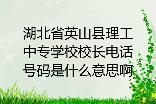 湖北省英山县理工中专学校校长电话号码是什么意思啊
