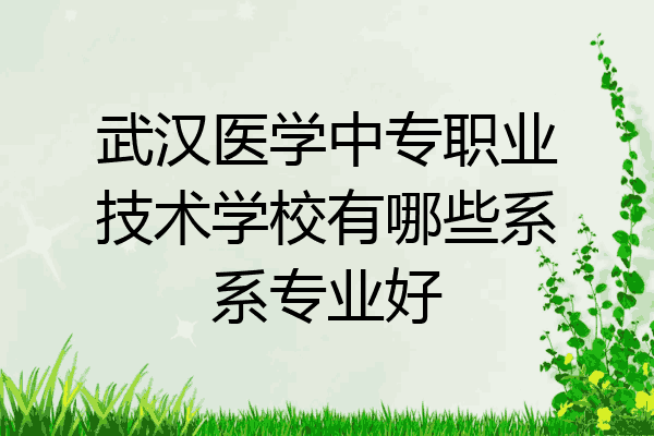 武汉医学中专职业技术学校有哪些系系专业好