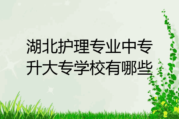 湖北护理专业中专升大专学校有哪些