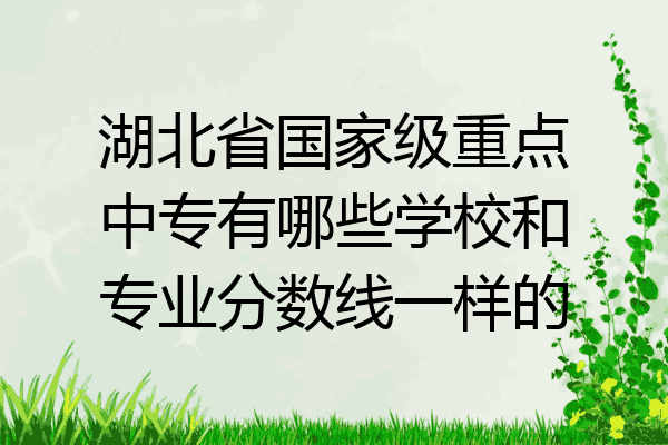 湖北省国家级重点中专有哪些学校和专业分数线一样的