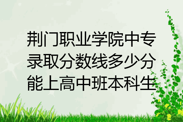 荆门职业学院中专录取分数线多少分能上高中班本科生