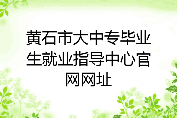 黄石市大中专毕业生就业指导中心官网网址