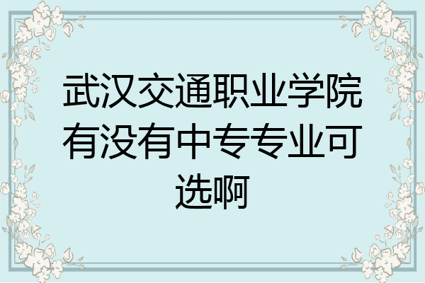 武汉交通职业学院有没有中专专业可选啊